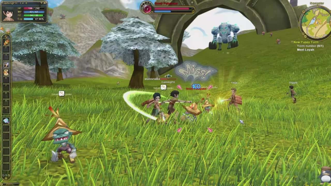 Flyff Universe: Gameplay, Classes, Features, Servers | NoypiGeeks