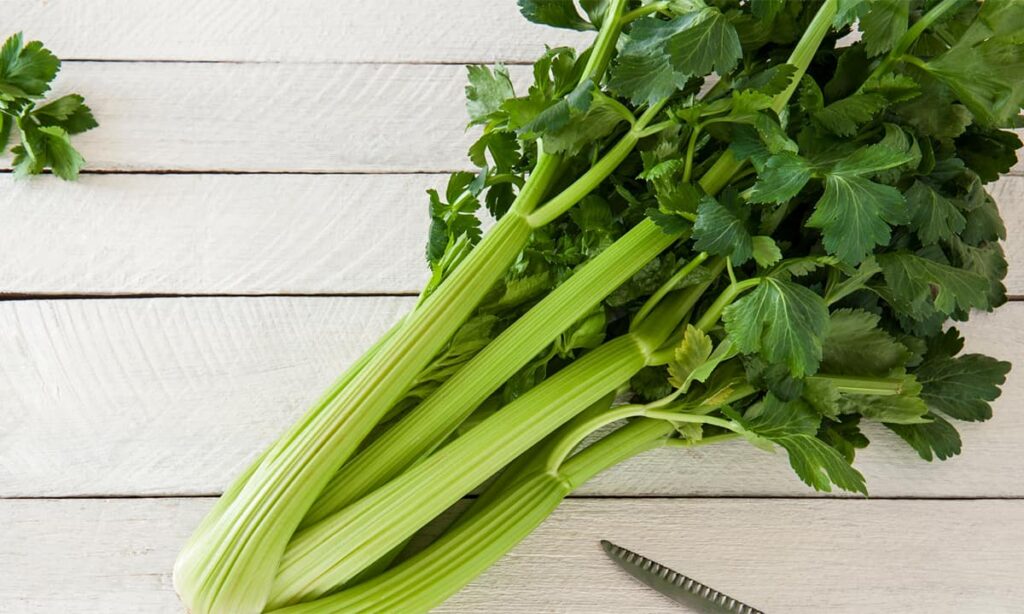Science-Experiments-Kids-Celery-NoypiGeeks