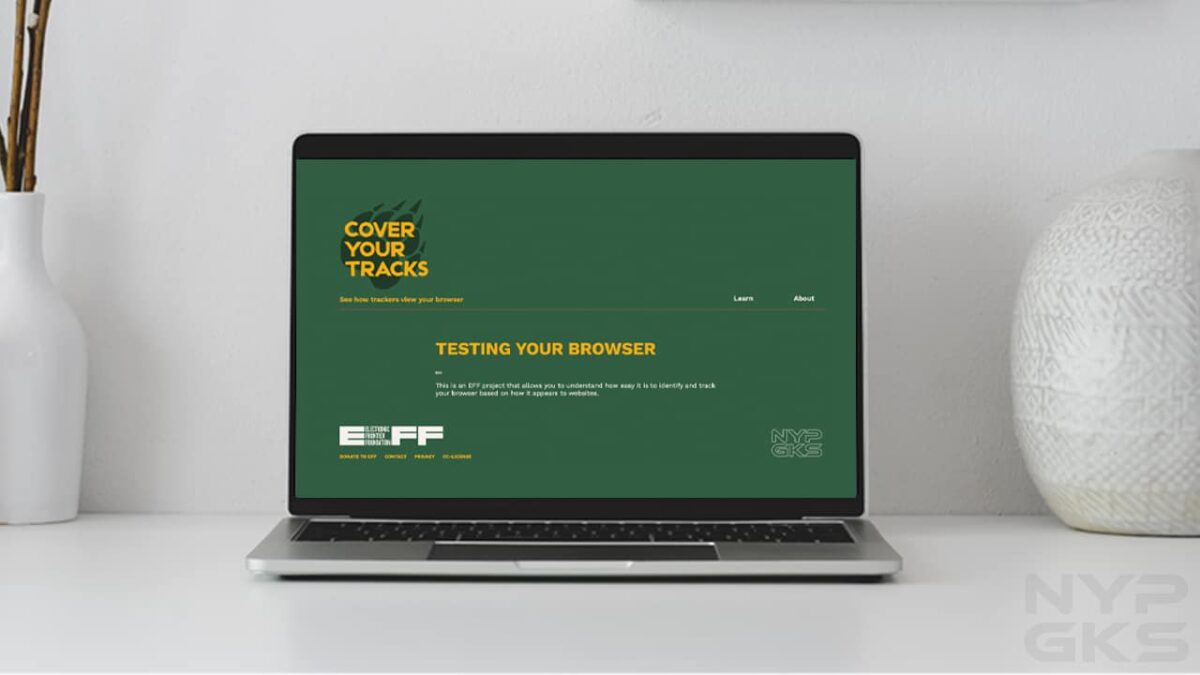 check-browser-leaking-private-data