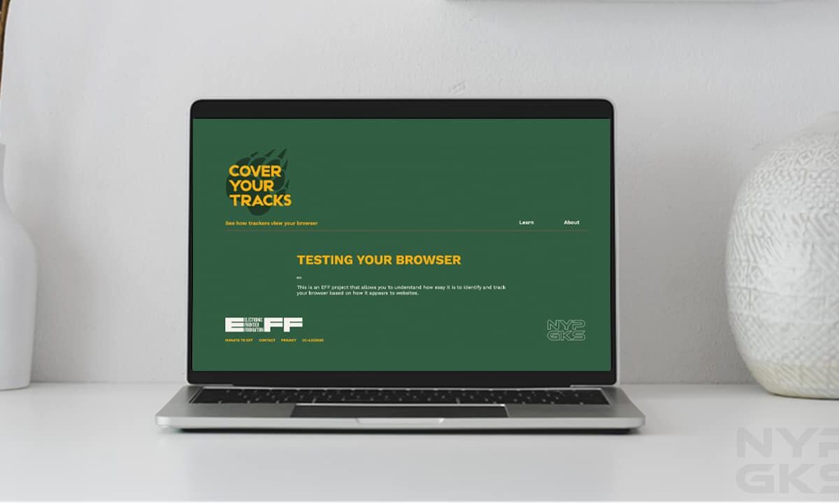 check-browser-leaking-private-data