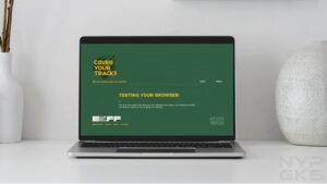 check-browser-leaking-private-data
