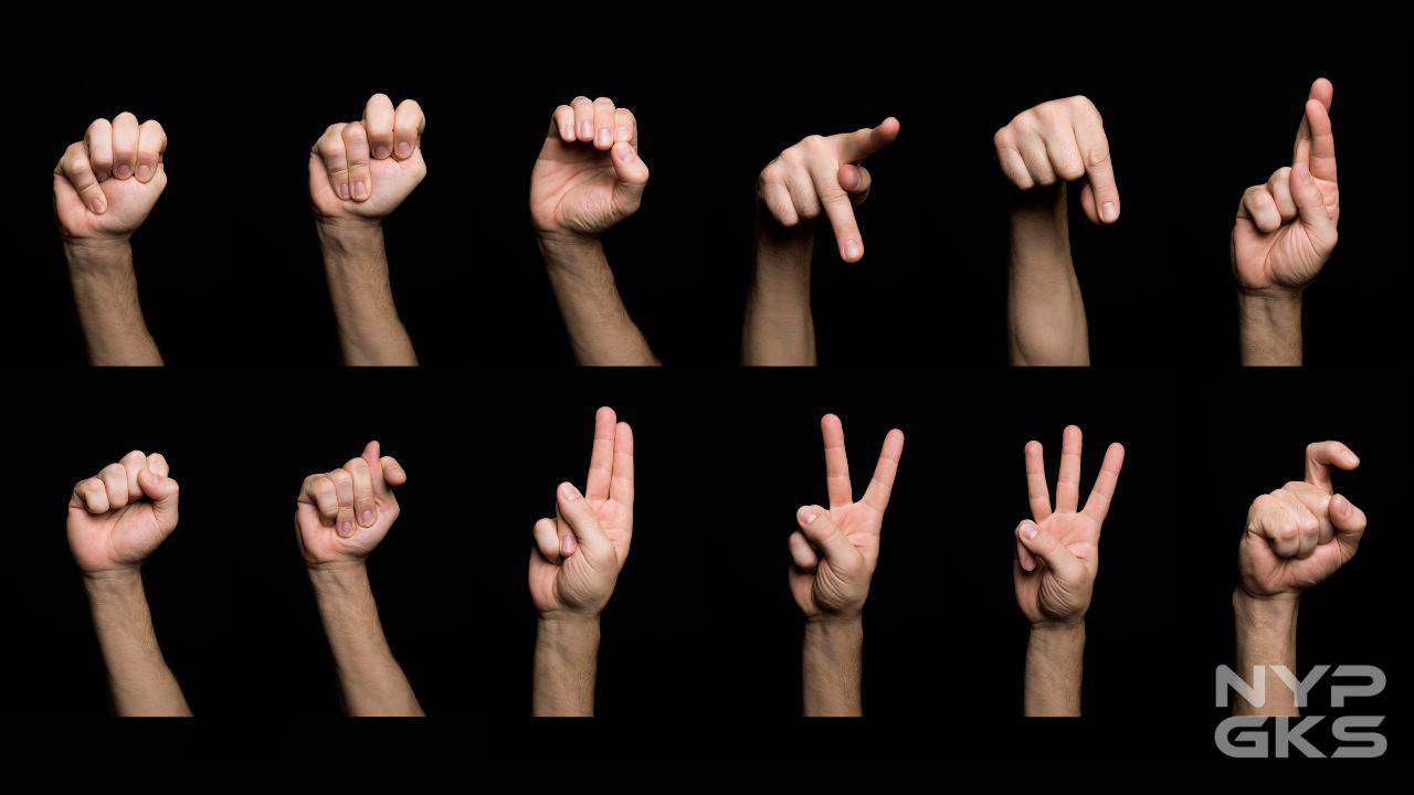 Free-Sign-Language-Resources-Online