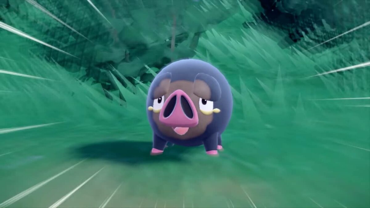 Pokemon-Scarlet-and-vVolet-Lechonk-NoypiGeeks