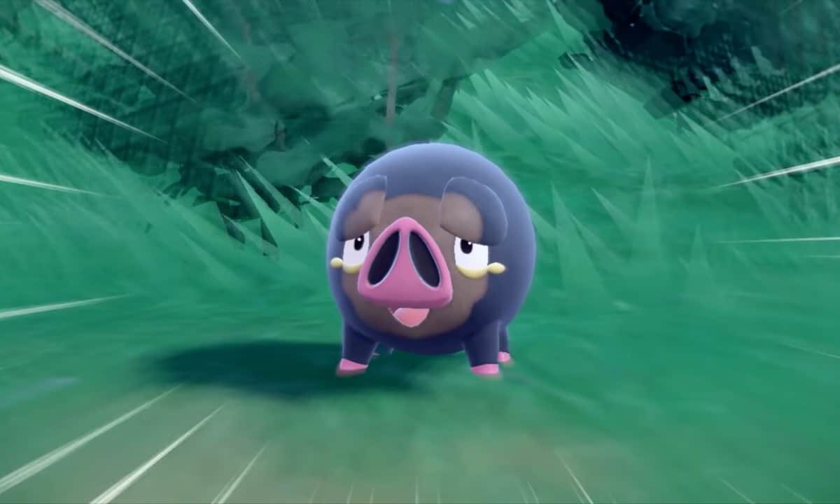 Pokemon-Scarlet-and-vVolet-Lechonk-NoypiGeeks