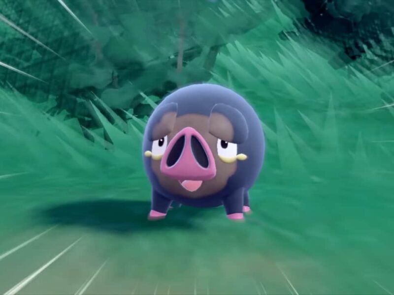 Pokemon-Scarlet-and-vVolet-Lechonk-NoypiGeeks