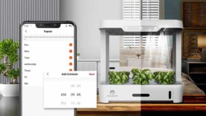 Cherry-Home-Smart-Hydroponic-Plant-Box