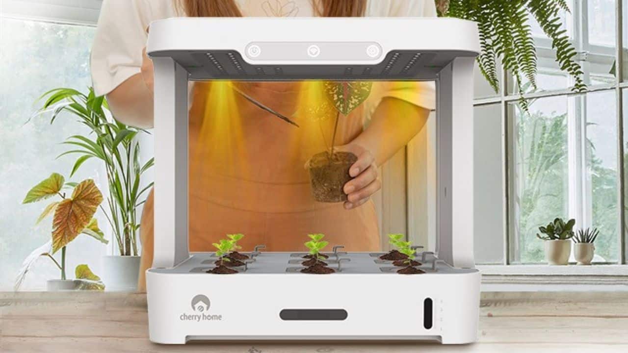 Cherry-Home-Smart-Hydroponic-Plant-Box-Price