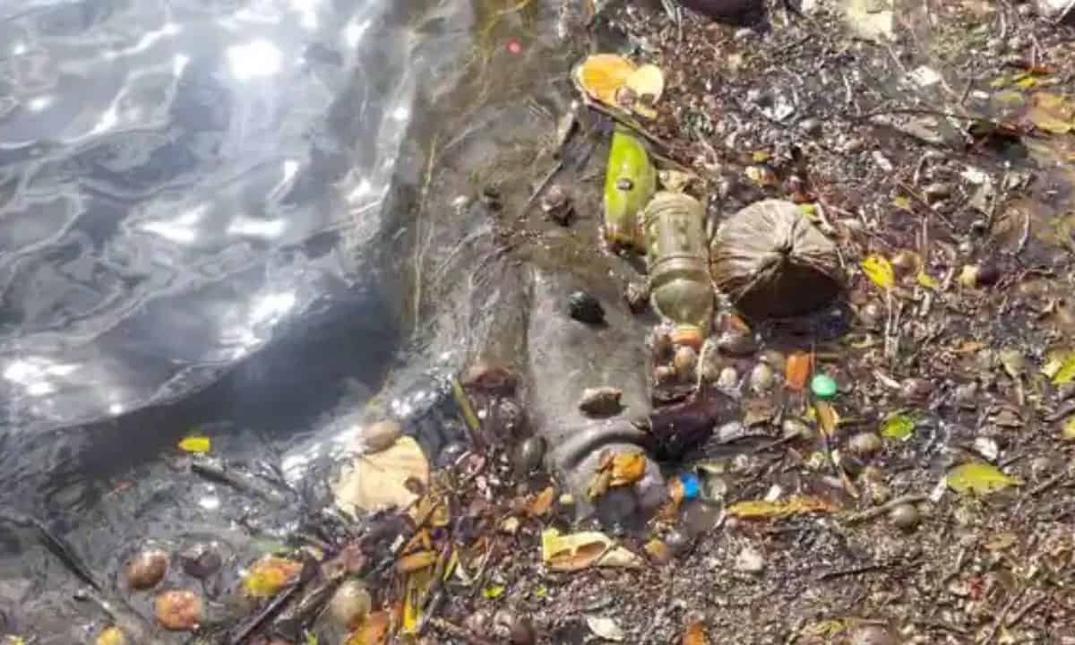 Scientists-microplastics-eating-robotic-fish