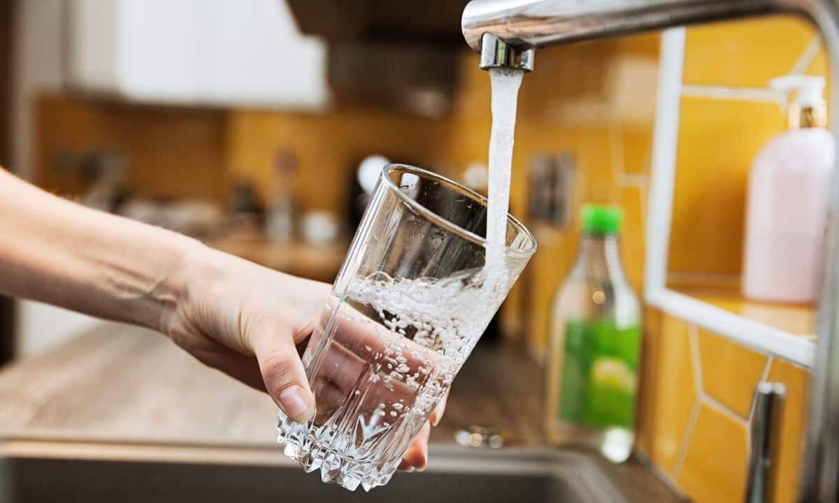 Scientists-safe-method-dispose-forever-chemicals