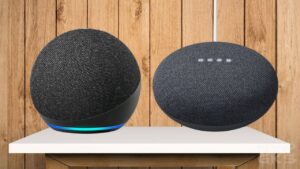 Voice-Assistants-Alexa-Google