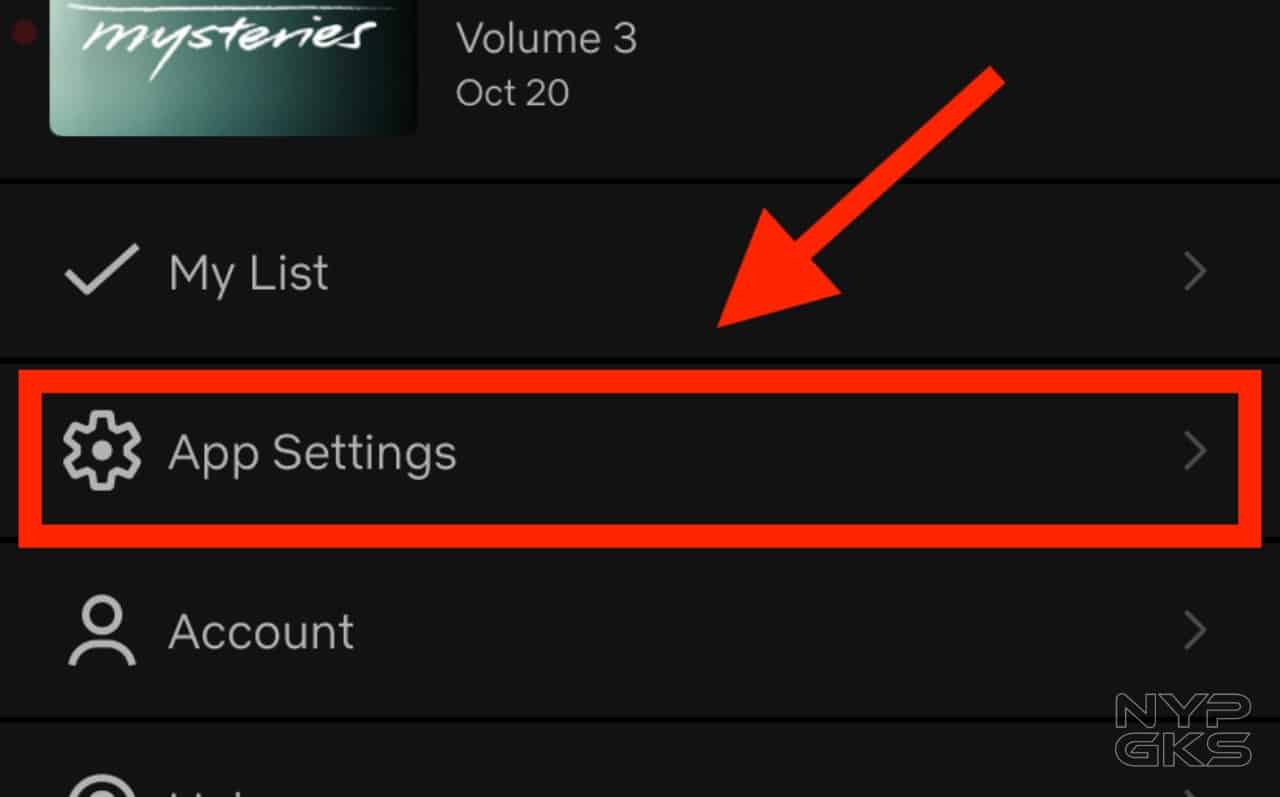 Change-Data-Settings-Netflix-Mobile-2