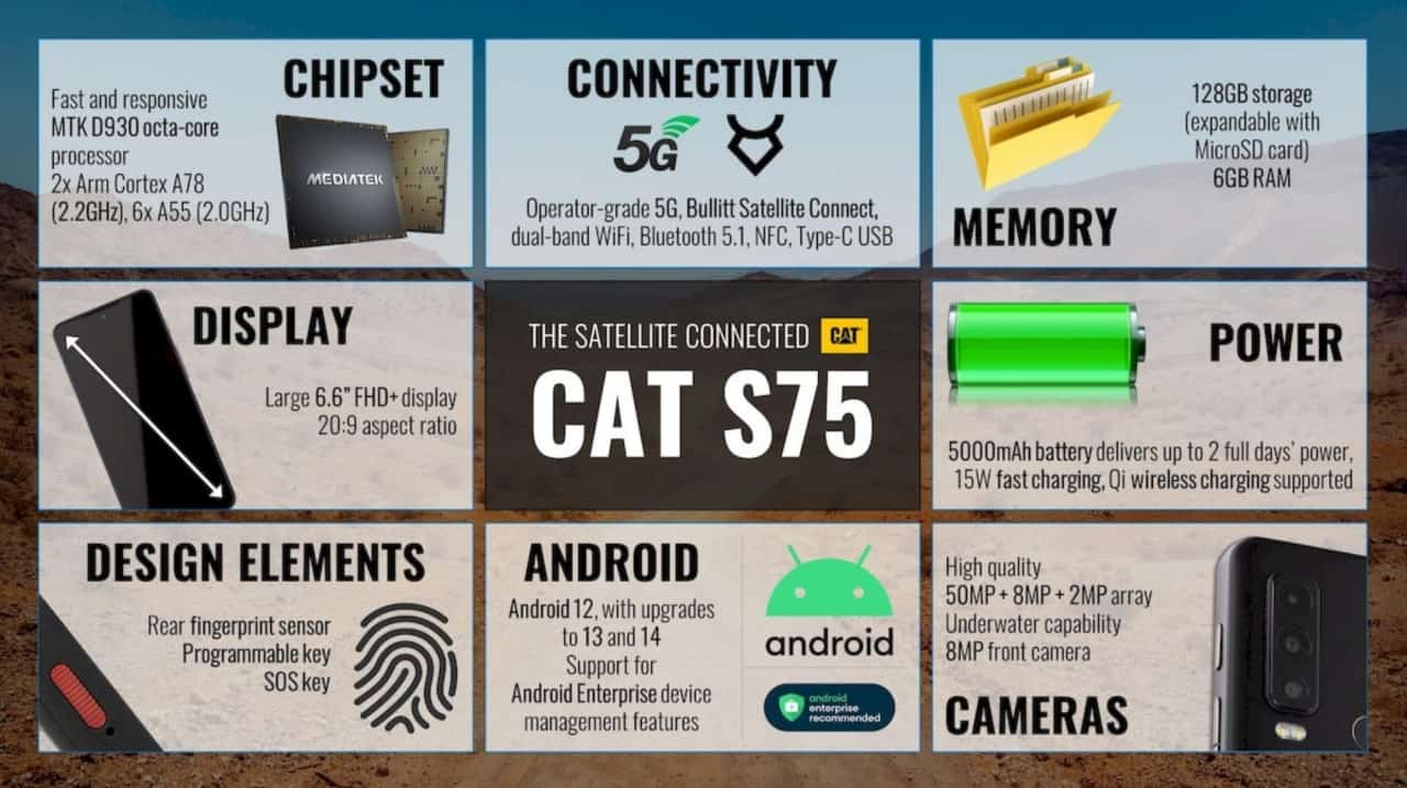 Cat-S75-5932