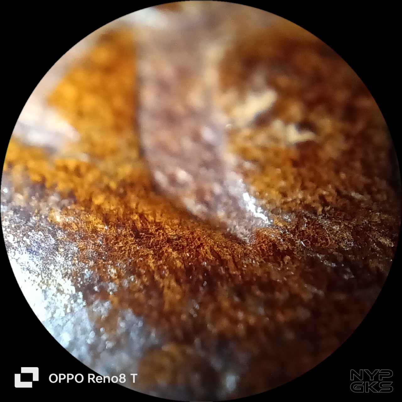 OPPO-Reno-8-T-4G-camera-magnifier-5631