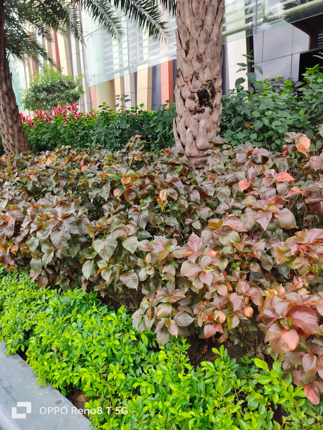 OPPO-Reno-8-T-5G-Camera-Samples-5937