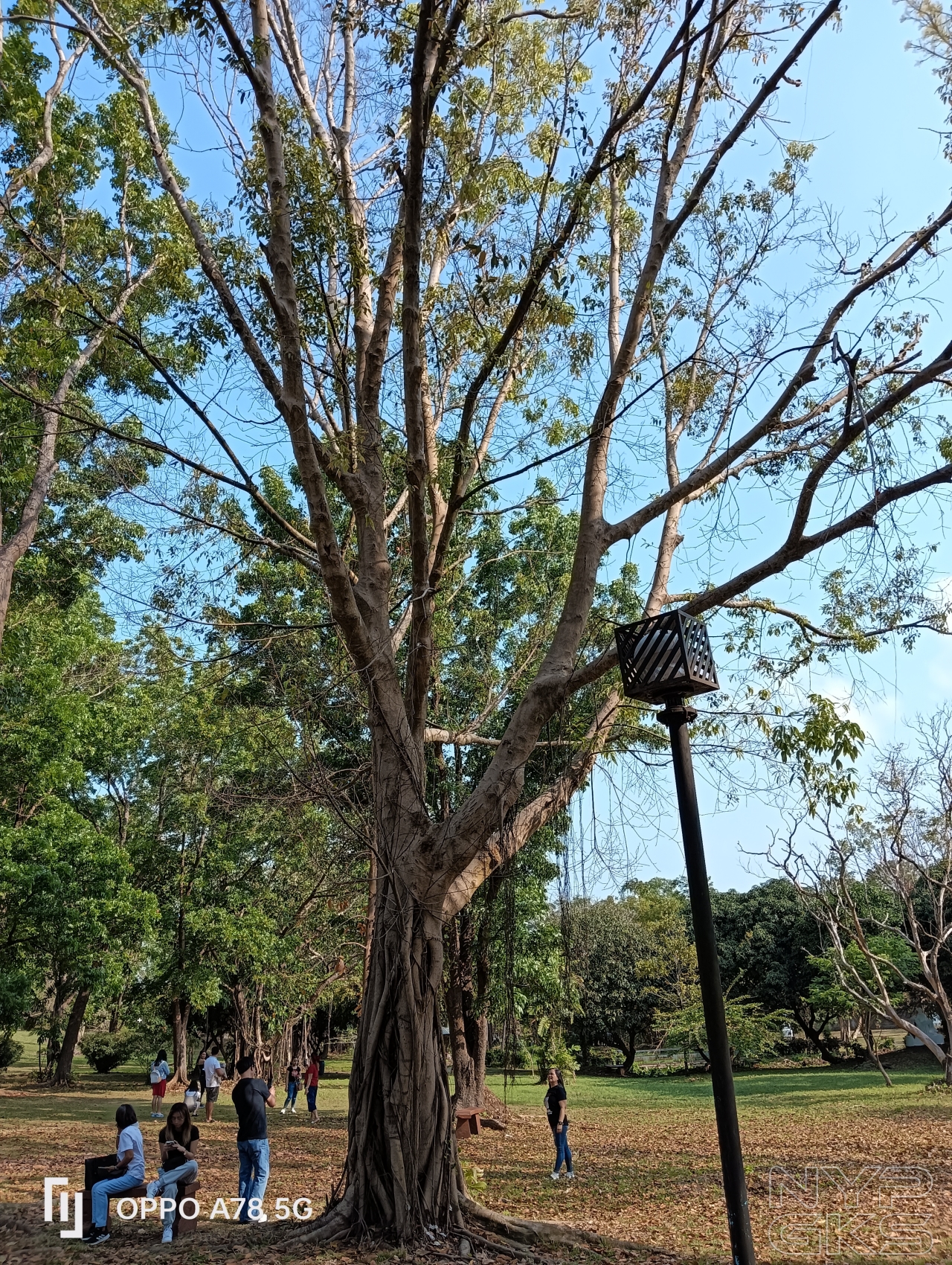 OPPO-A78-5G-camera-samples-5376