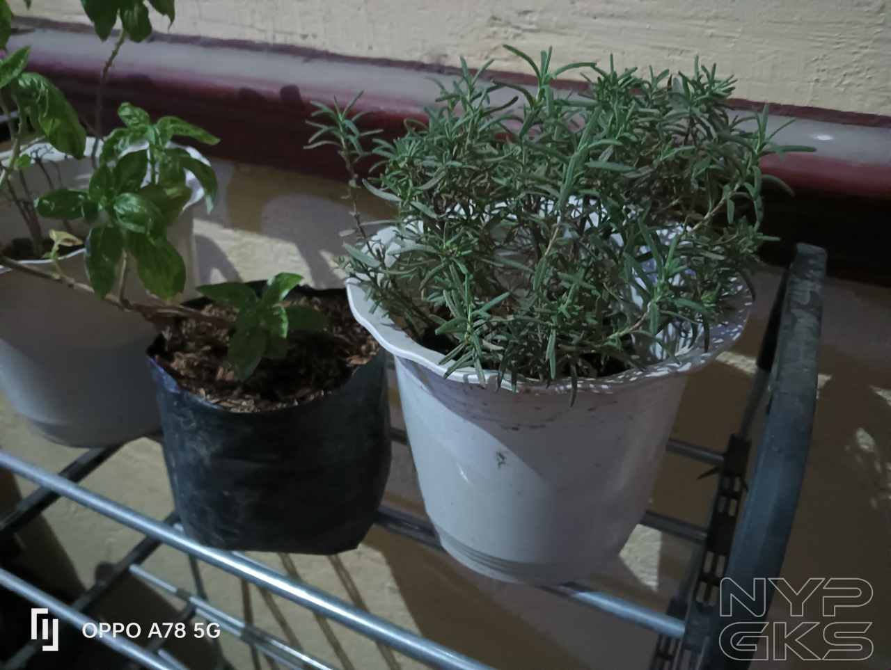 OPPO-A78-5G-camera-samples-5384