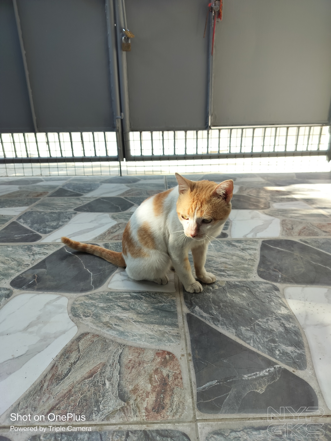 OnePlus-Nord-CE-3-Lite-Camera-Samples-5400