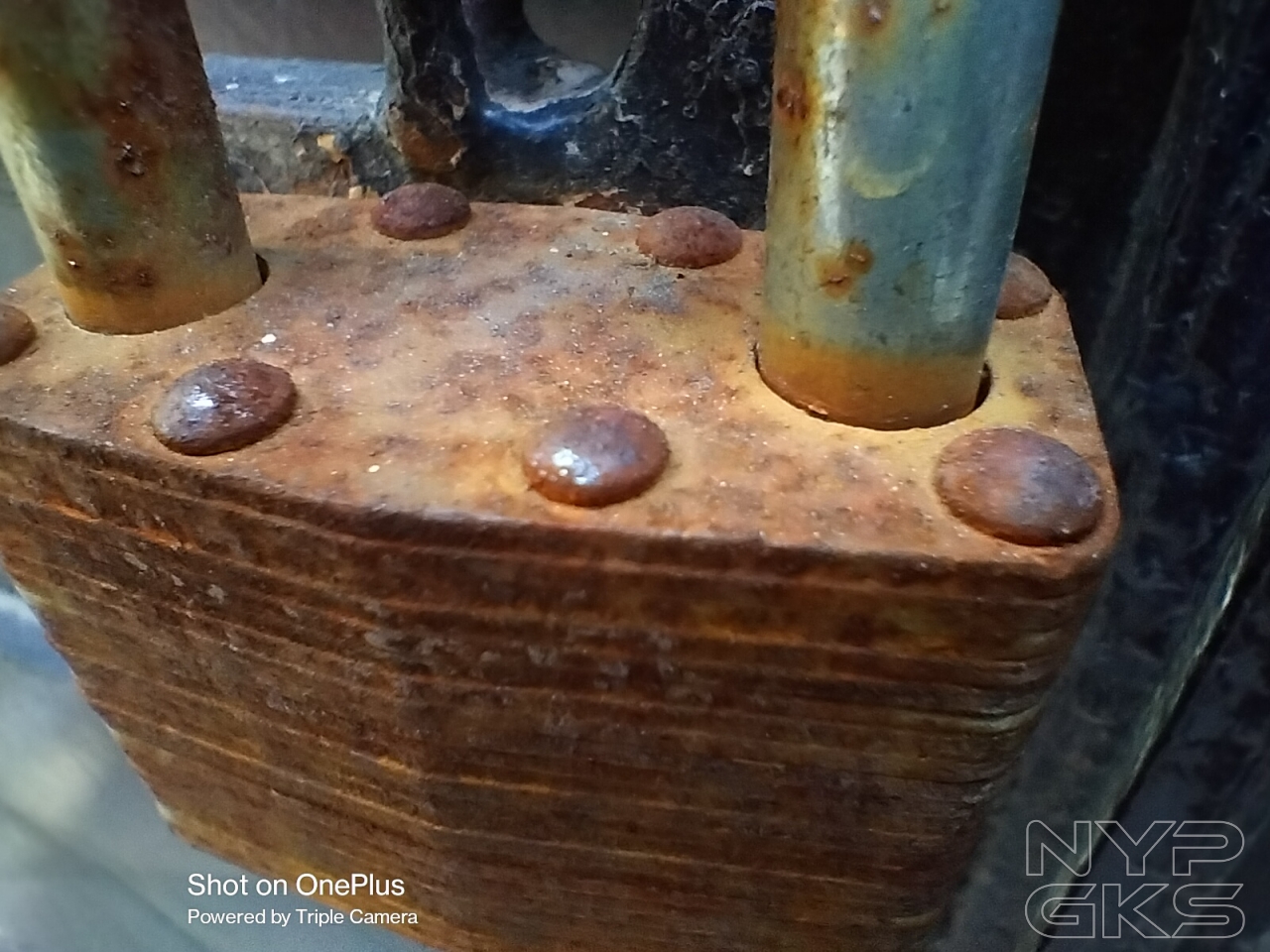 OnePlus-Nord-CE-3-Lite-Macro-Samples-5404