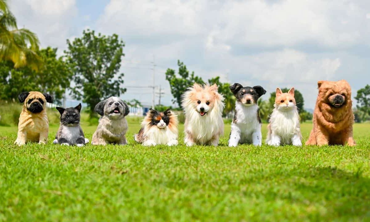PH-toy-maker-realistic-pet-plushies