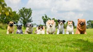 PH-toy-maker-realistic-pet-plushies