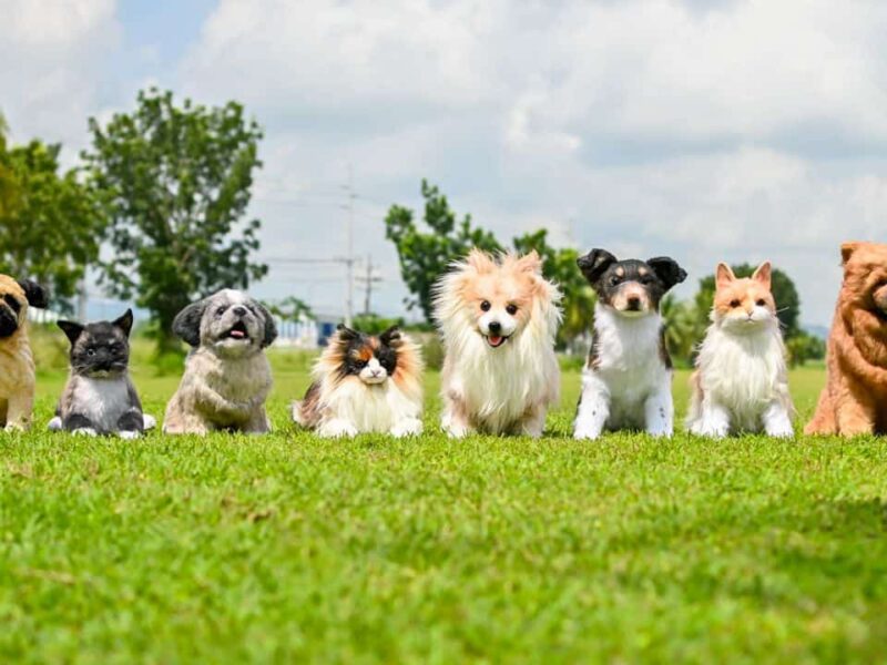 PH-toy-maker-realistic-pet-plushies