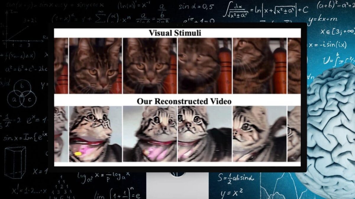 AI-high-quality-video-brain-data