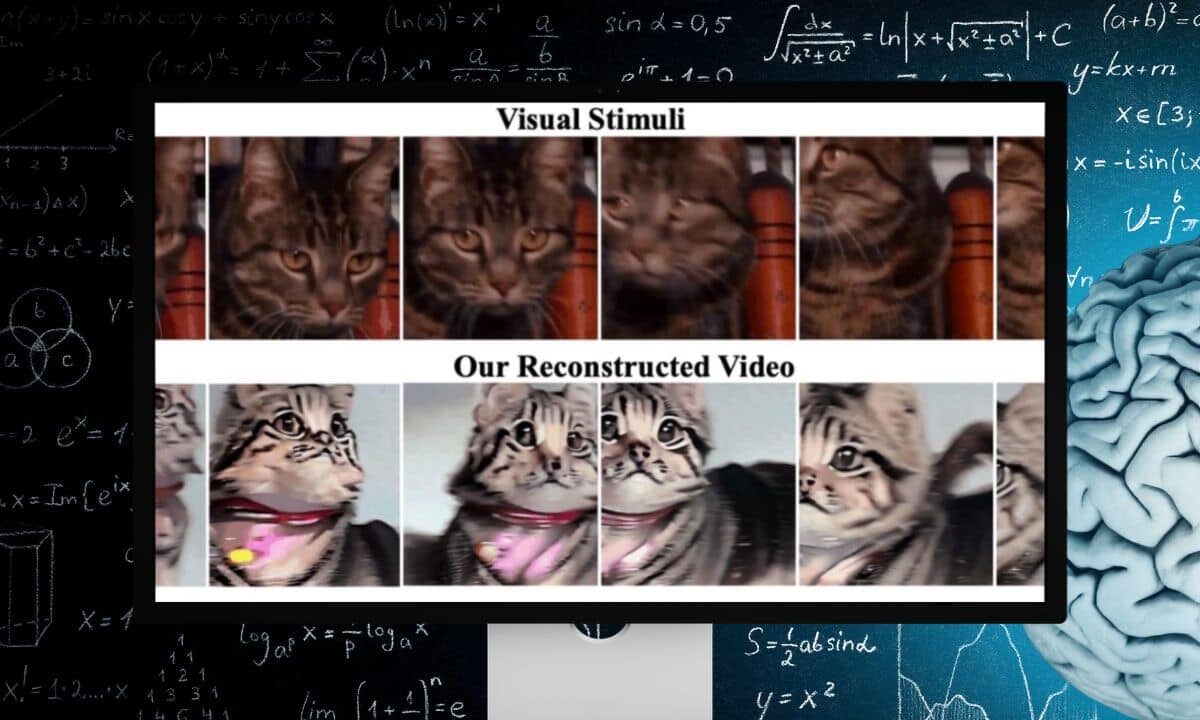 AI-high-quality-video-brain-data