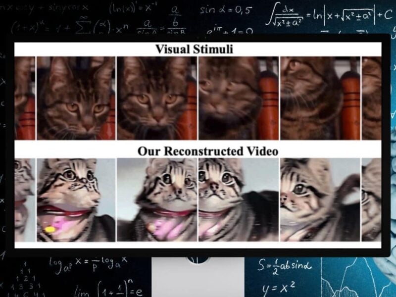 AI-high-quality-video-brain-data