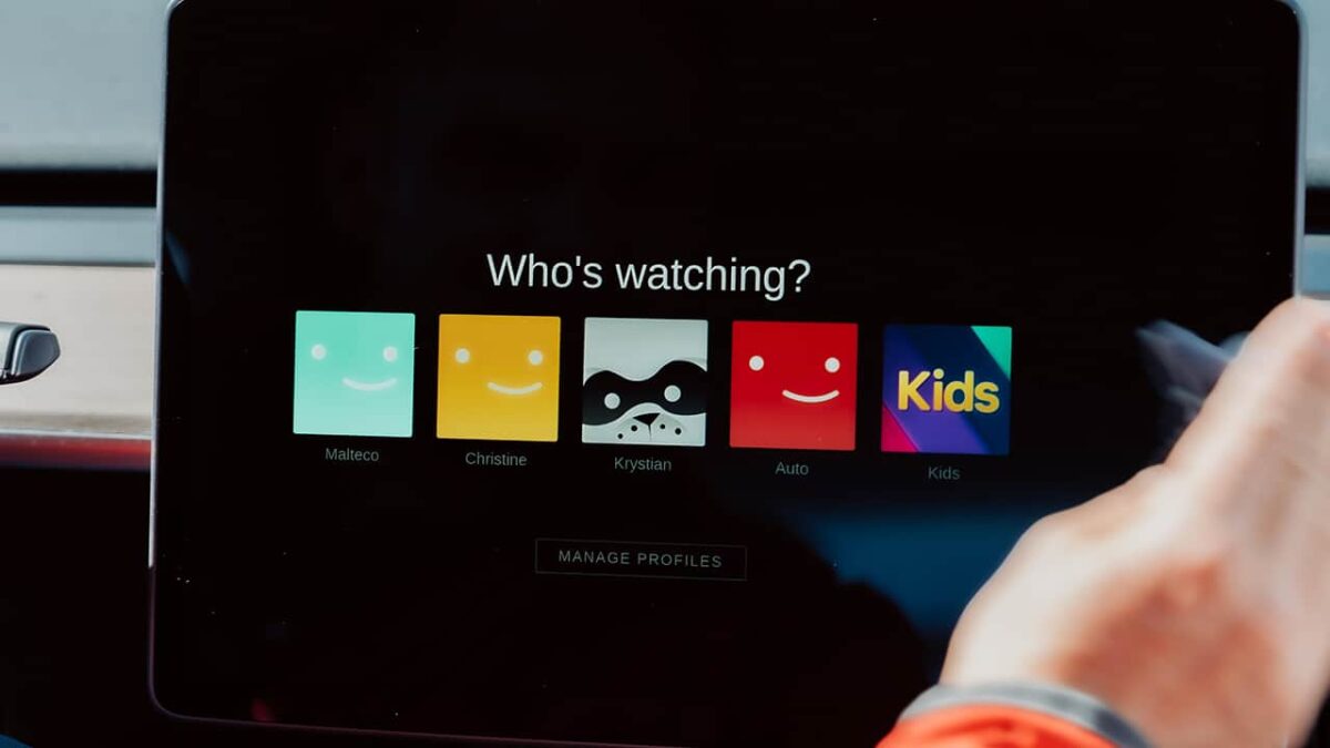 Netflix-password-sharers-Php149