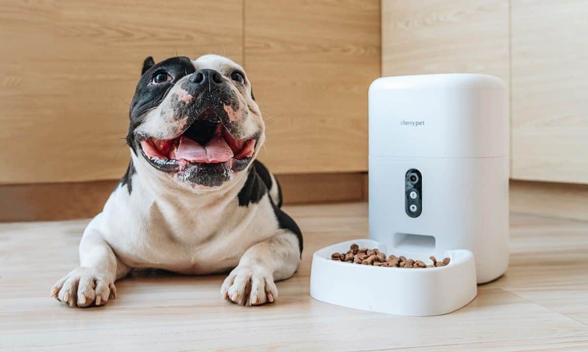 CHERRY-Smart-Pet-Feeder-Plus