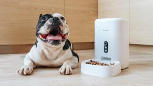 CHERRY-Smart-Pet-Feeder-Plus