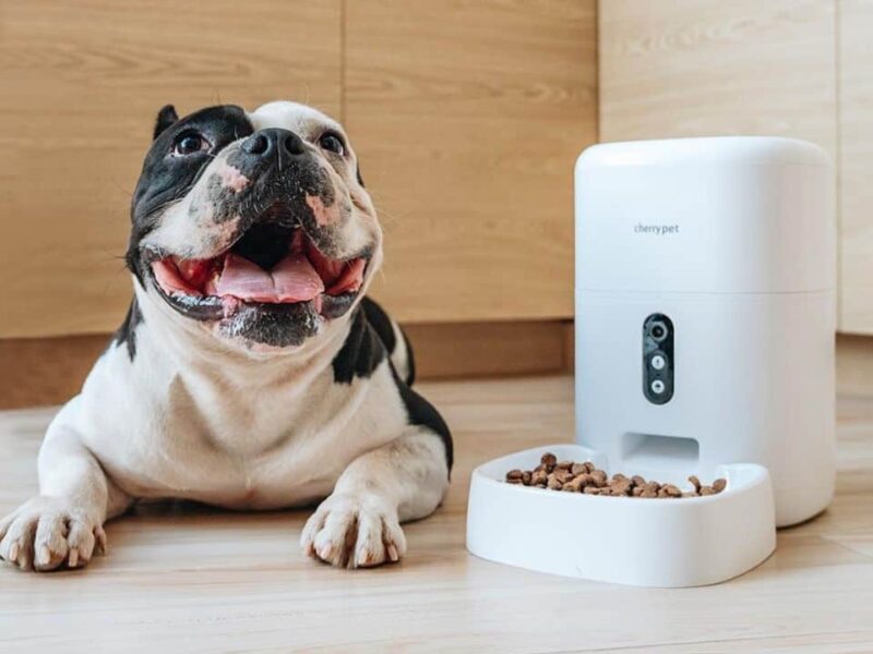 CHERRY-Smart-Pet-Feeder-Plus