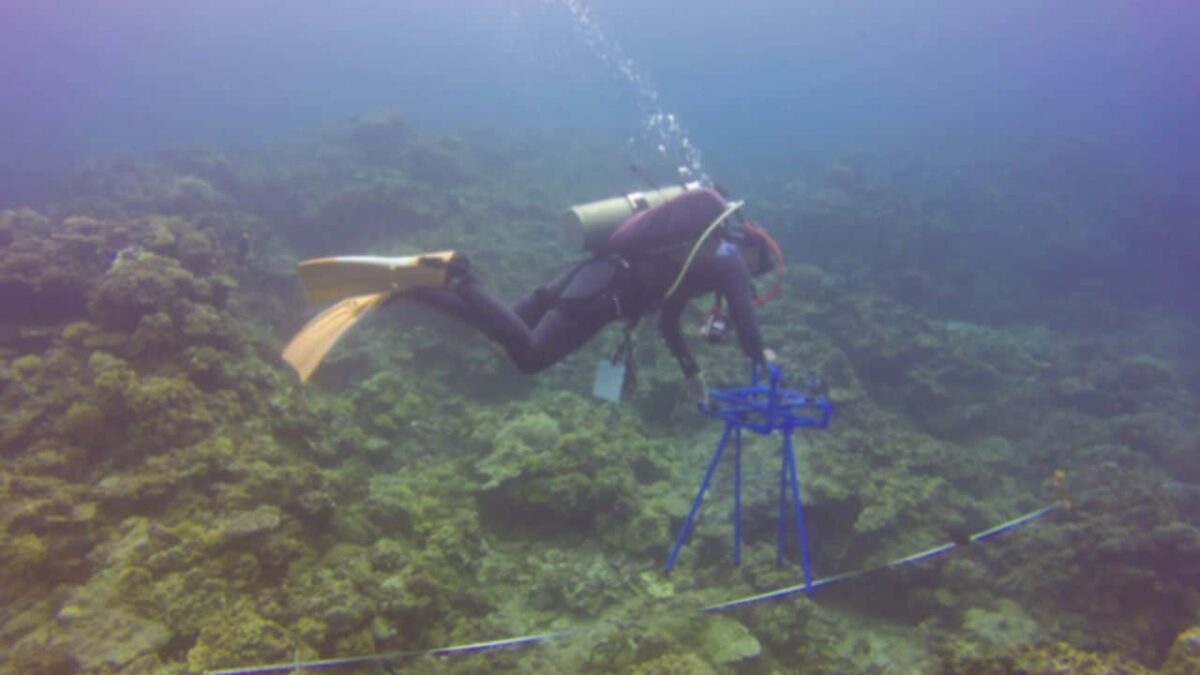 FishDrop-semi-automated-fish-monitoring-device