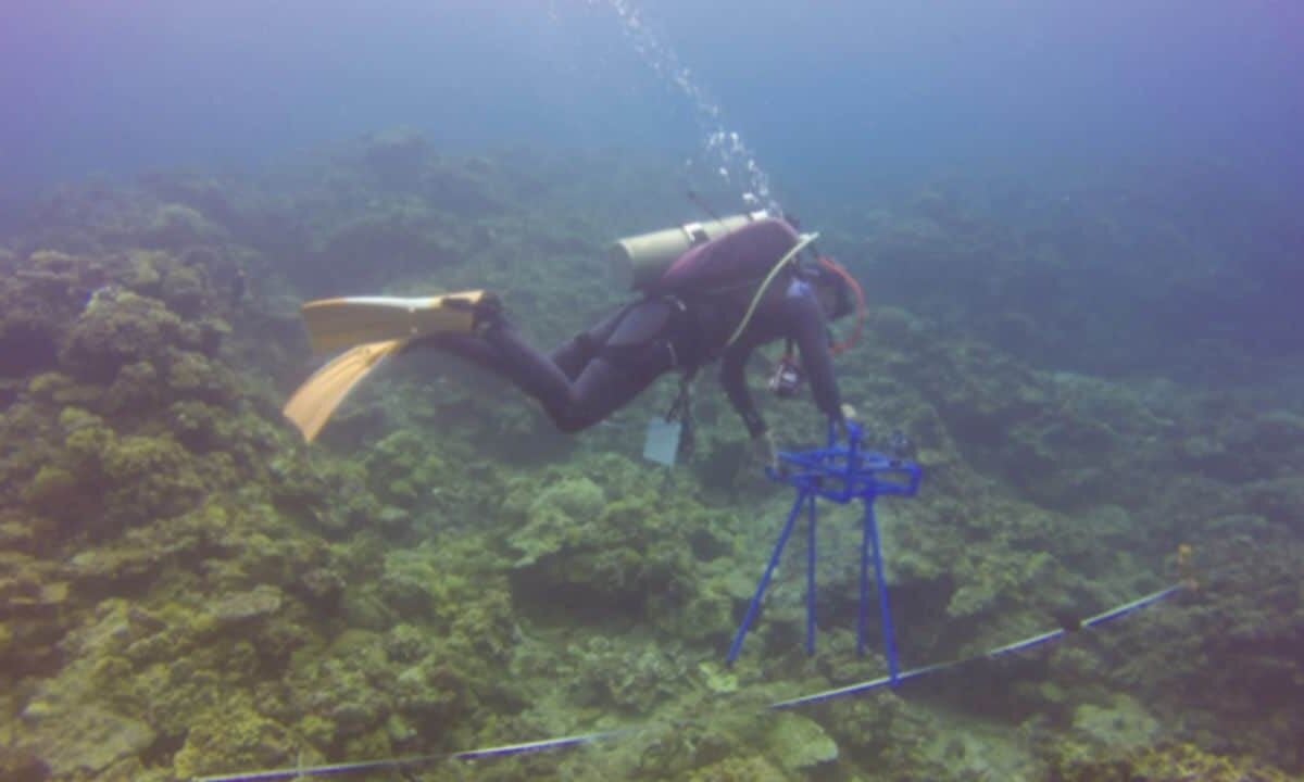 FishDrop-semi-automated-fish-monitoring-device