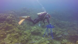 FishDrop-semi-automated-fish-monitoring-device