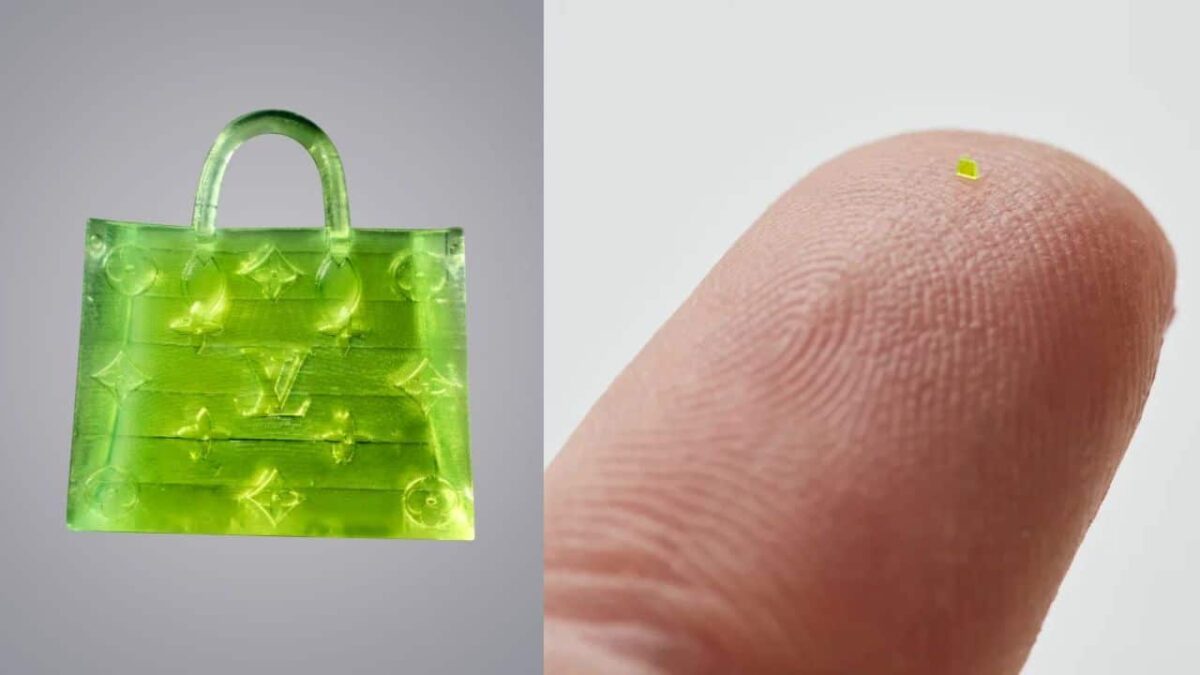Microscopic-Louis-Vuitton-handbag