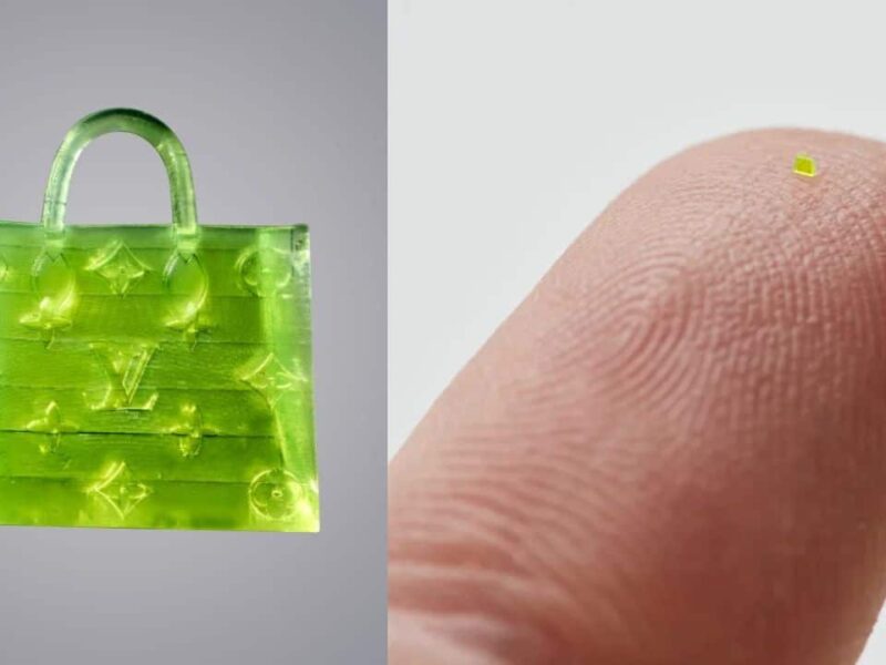 Microscopic-Louis-Vuitton-handbag