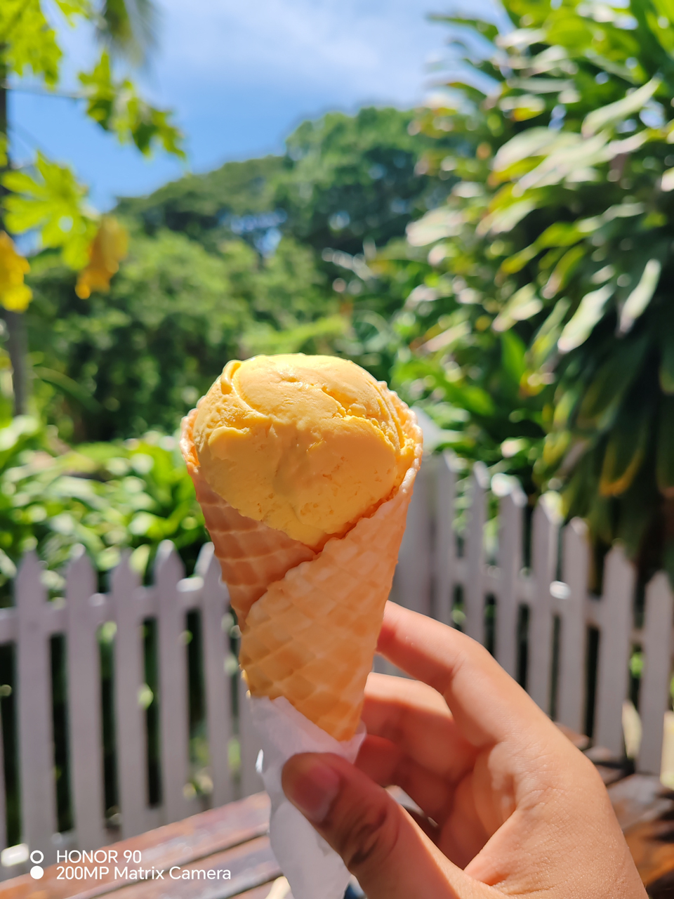 HONOR-90-5G-Camera-Samples-5238