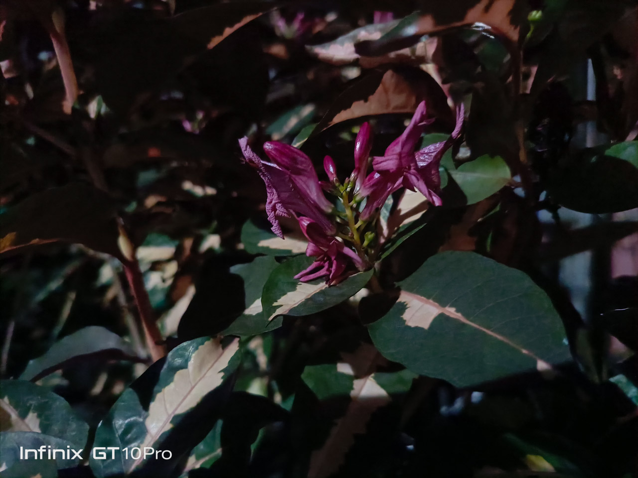 Infinix-GT-10-Pro-Camera-Samples-5991