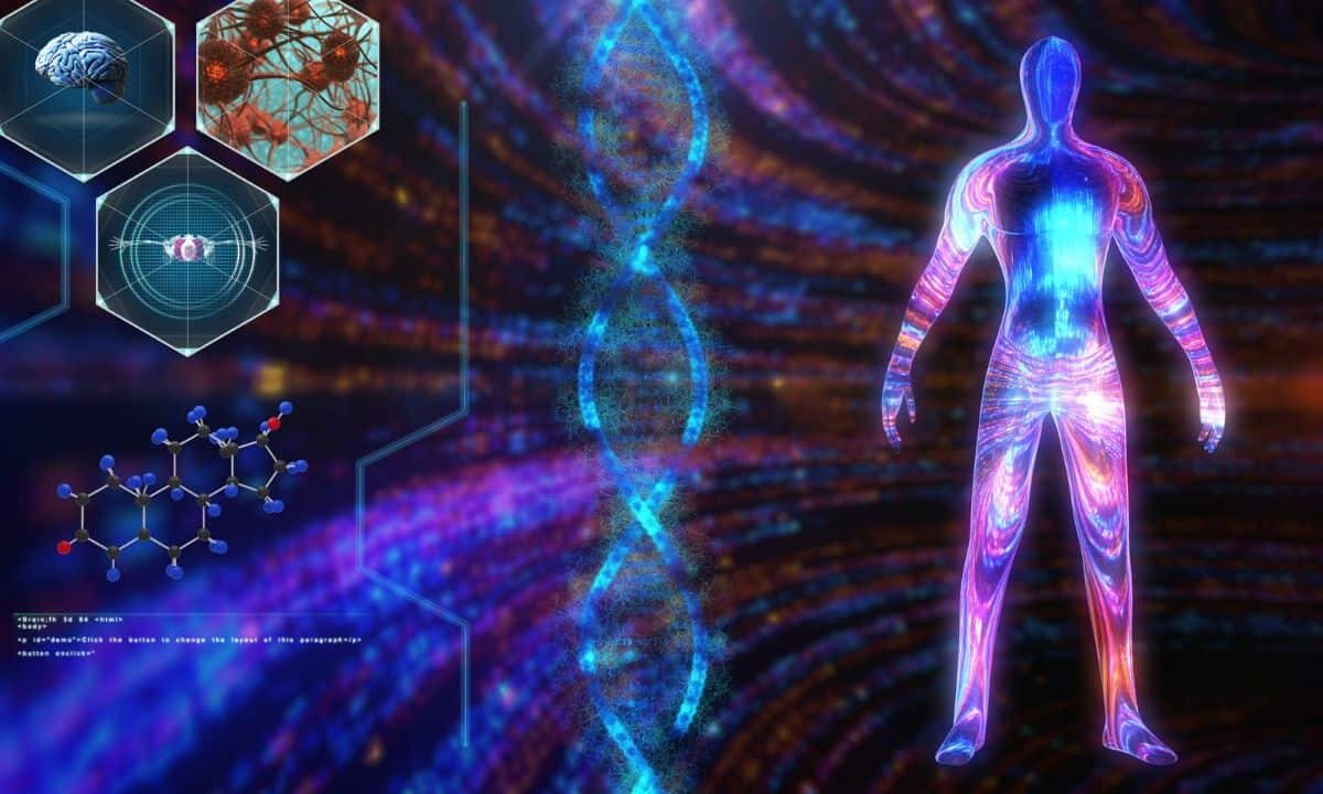 Modular-Body-2387291