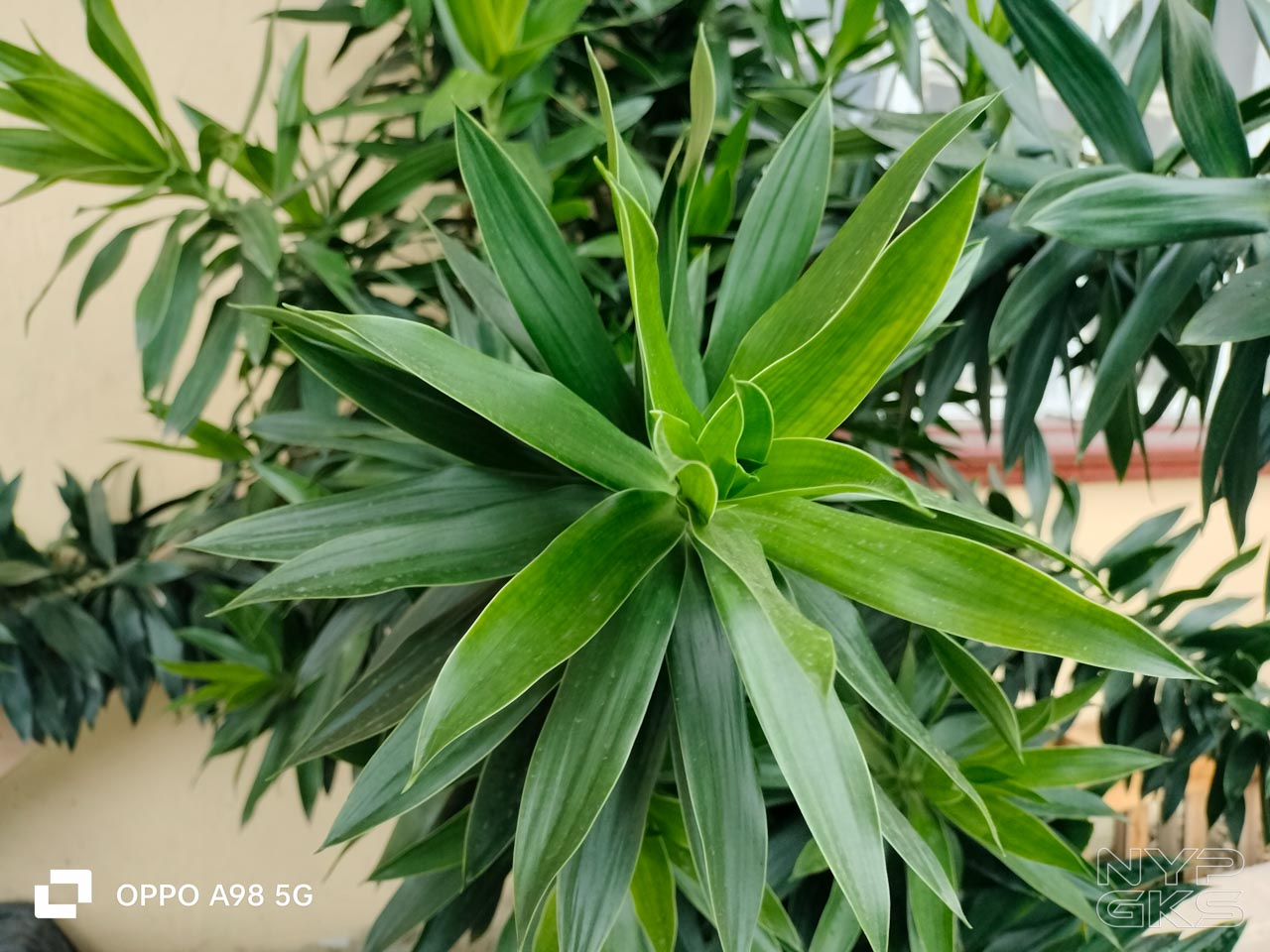 OPPO-A93-5G-Camera-Samples-6007