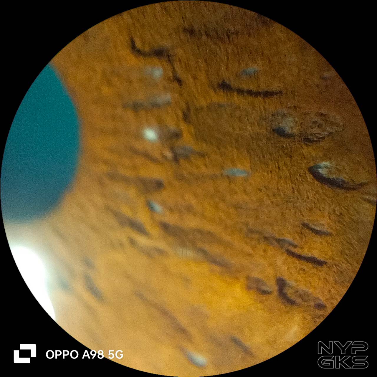 OPPO-A98-5G-microscope