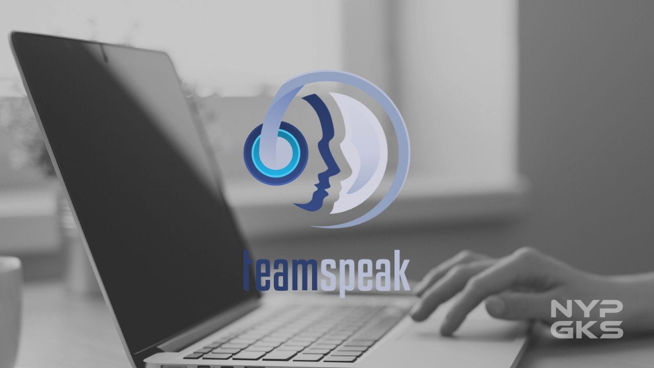 Team-Speak-Discord-Alternative