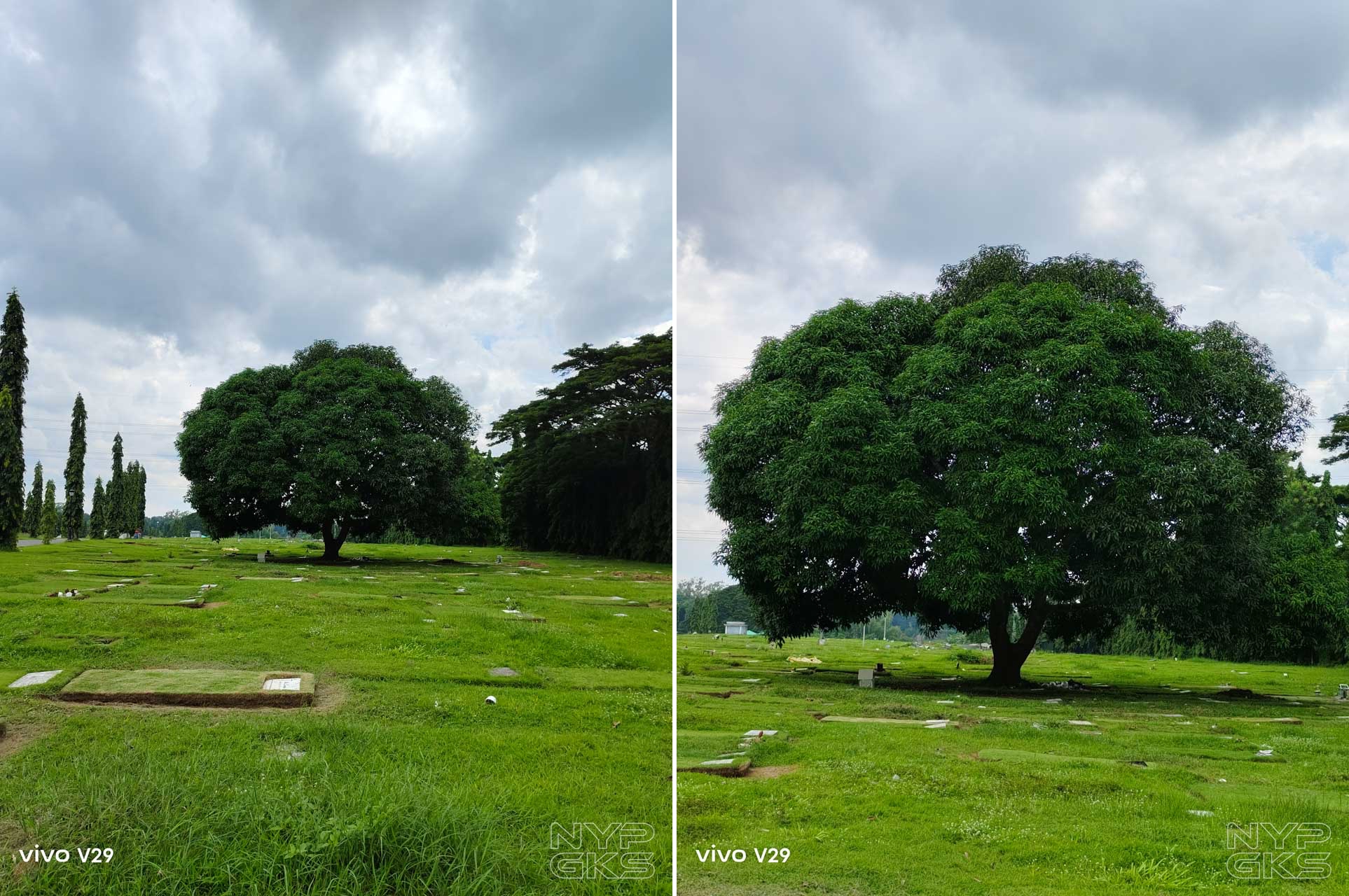 vivo-V29-5G-Camera-2x-5991