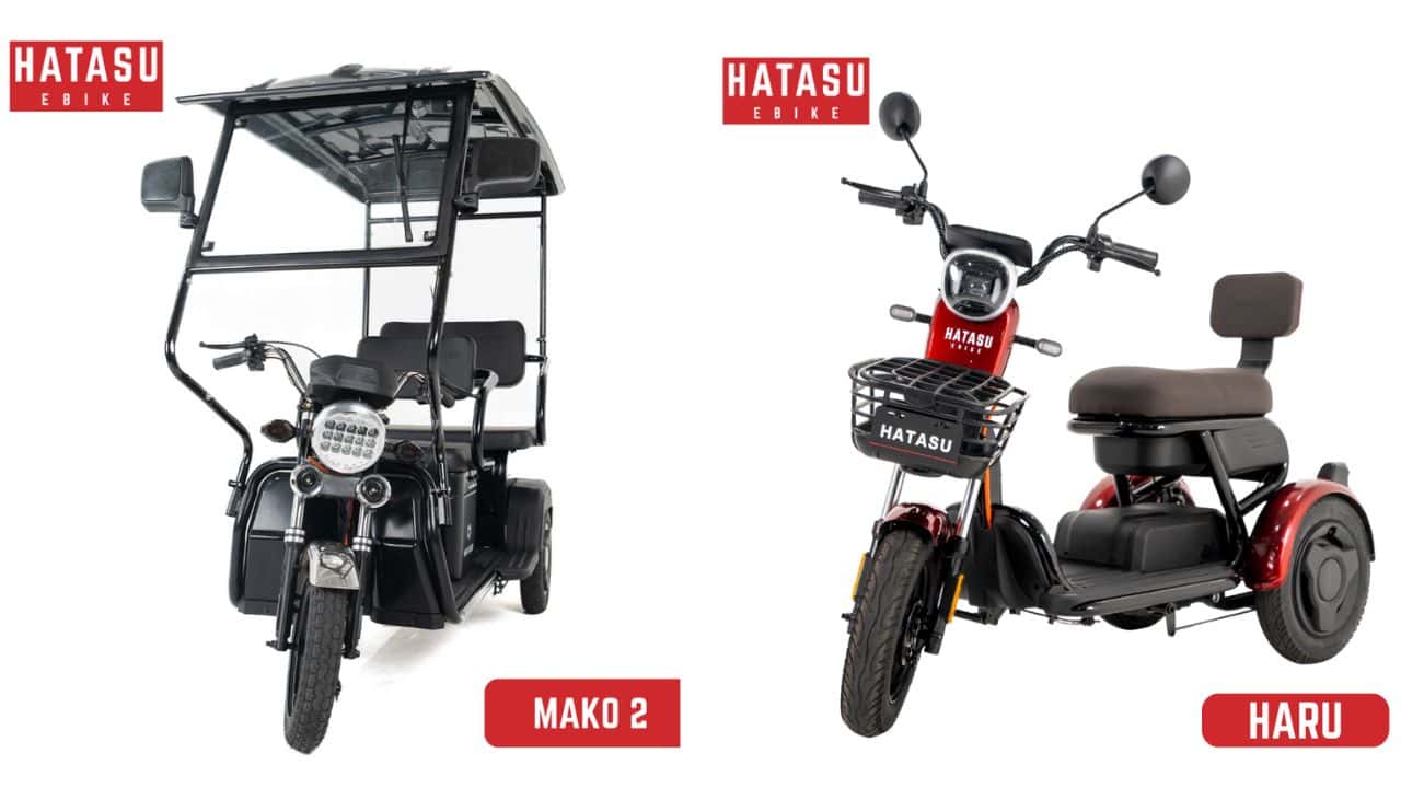 HATASU-Mako-Haru