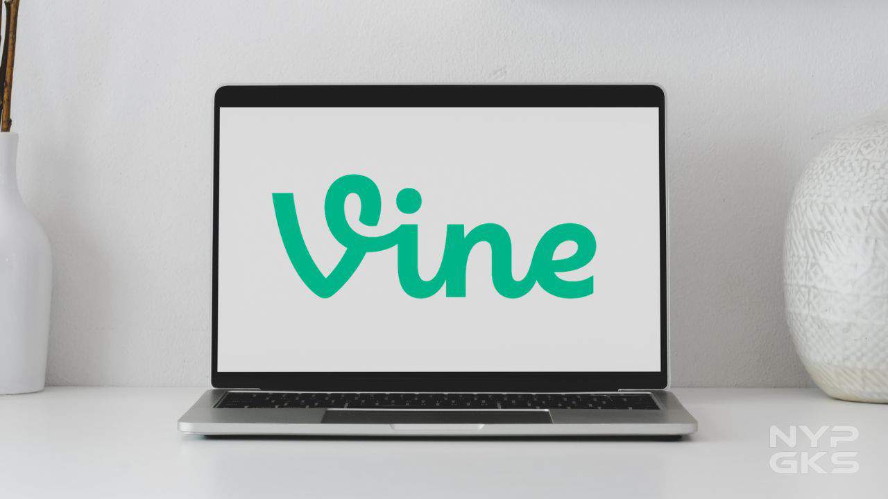 Vine