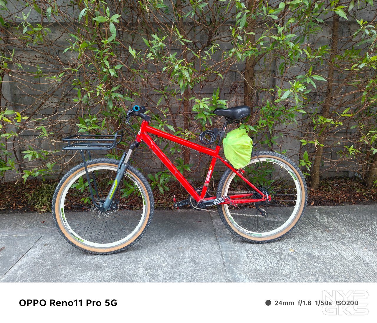 OPPO-reno11-Pro-camera-samples-daylight-5834
