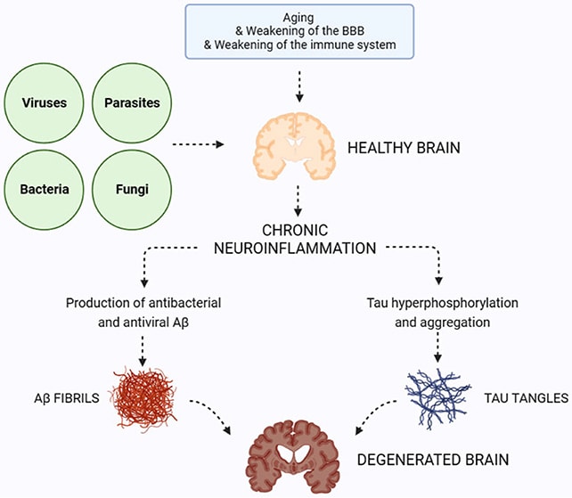 Nose-Pathogens