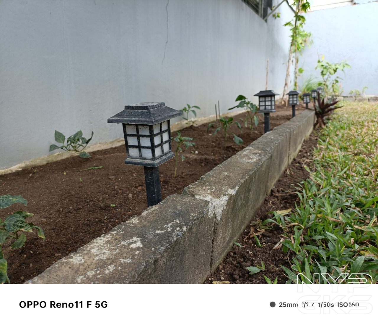 OPPO-Reno11-F-Camera-Samples-5991