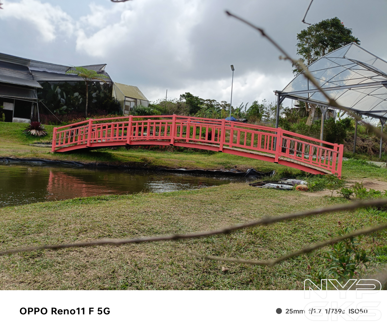 OPPO-Reno11-F-Samples-6499